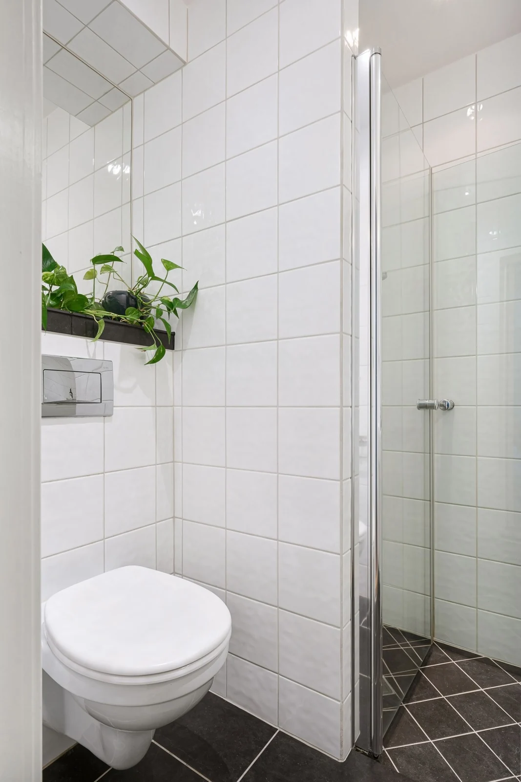 Bathroom layout and fittings
