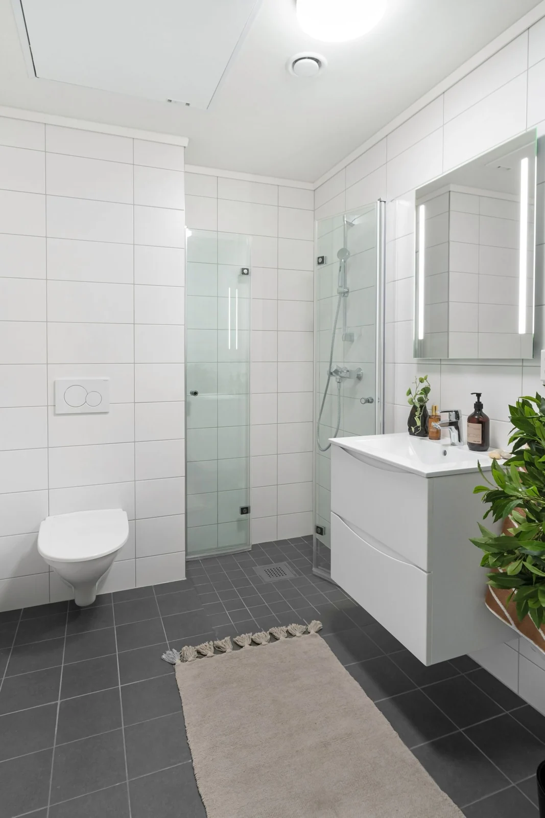 Bathroom layout and fittings